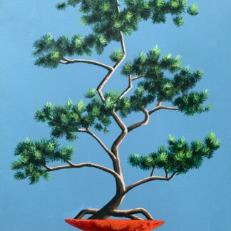 BONSAI by Nancy M Patrick