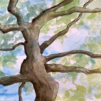 Tree - From Below by Nancy M. Patrick