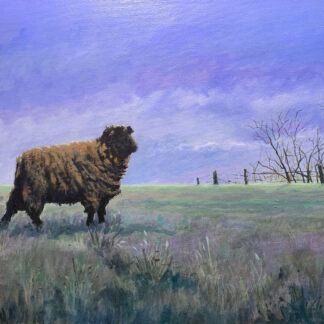 Sheep - Portrait of a Blue Ribbon Winner by Nancy M Patrick