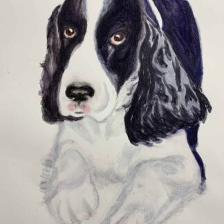Higgins, the soulful doggy by Lindy Paull