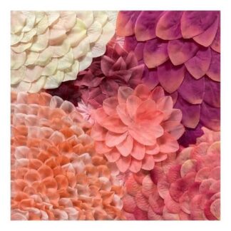 Petal Mini, No. 10 by Rashad Ali Muhammad