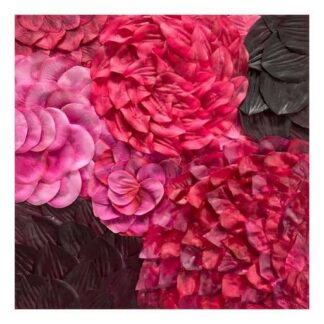 Petal Mini, No. 17 by Rashad Ali Muhammad