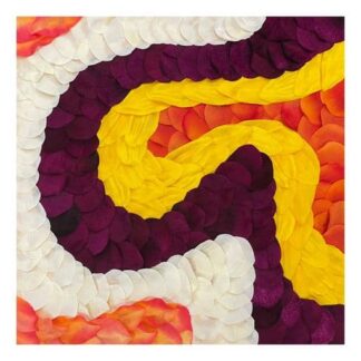 Petal Mini, No. 2 by Rashad Ali Muhammad