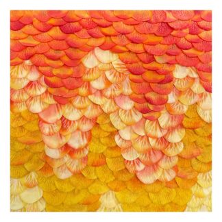 Petal Mini, No. 23 by Rashad Ali Muhammad
