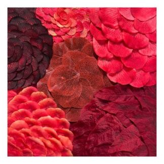 Petal Mini, No. 8 by Rashad Ali Muhammad