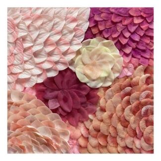 Petal Mini, No. 9 by Rashad Ali Muhammad