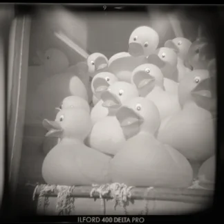 Black & White Darkroom Photography