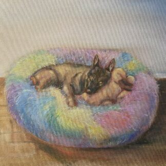 First Bed by Ann Pham