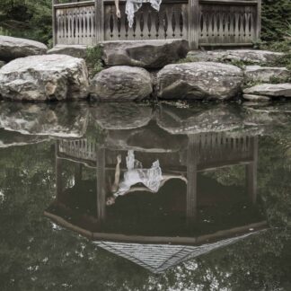 Lost in a Daydream by Kenneth Plattoo