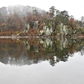 Potomac Morning by Jane Podesta
