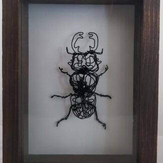 Stag Beetle by Michael Price