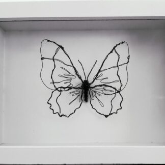 Wooly Emperor Butterfly by Michael Price