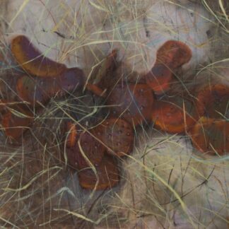 Prickly Pear Cactus by Mike McSorley