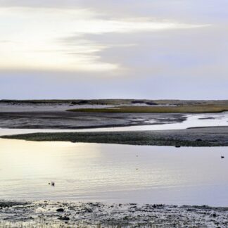 Quiet Harbor by Meg Clarke