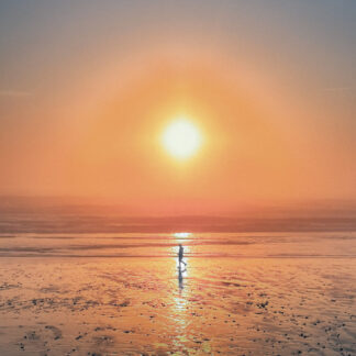 The Way Home by Elora Vale