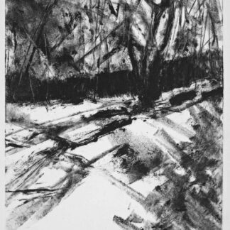 March: Shadows on the Lawn by Evelyn Rabin