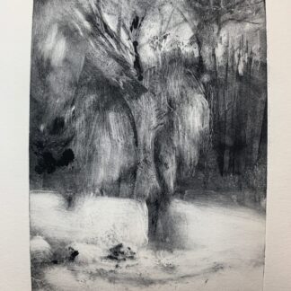 Weeping Willow - Red Gate Park by Evelyn Rabin