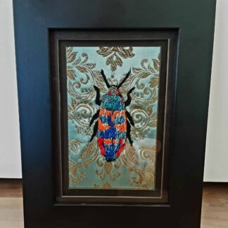 Arthropod by Donna Reinsel
