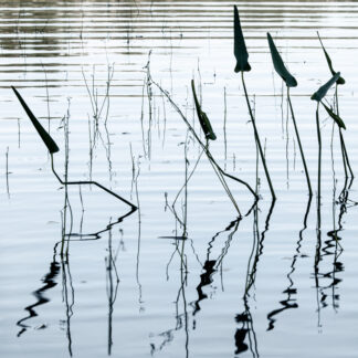 Rippled Calligraphy by Meg Clarke