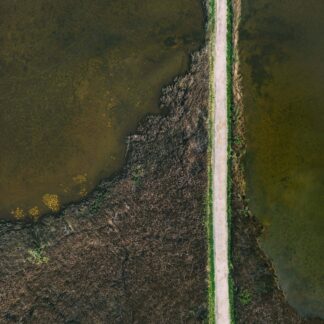 Landscape #2 by William Rollins