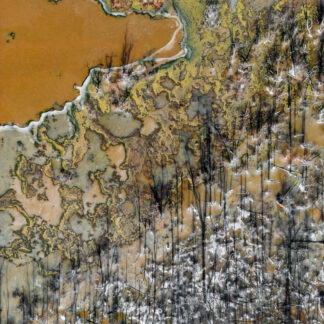 Landscape #1 by William Rollins