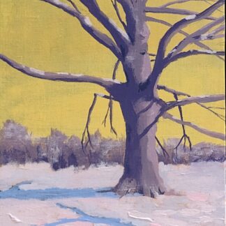 Longwood Winter Tree by Jay Ryan