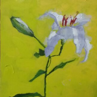 Hello Lily by Jay Ryan