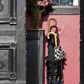 Umbrella Still Life by Helen Sampson