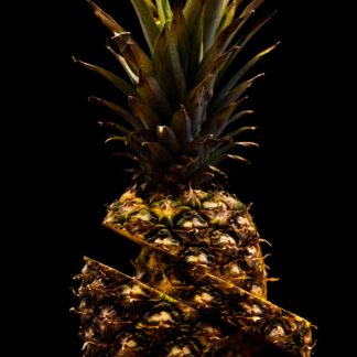 Spiked & Broken by Daniel Saraceno
