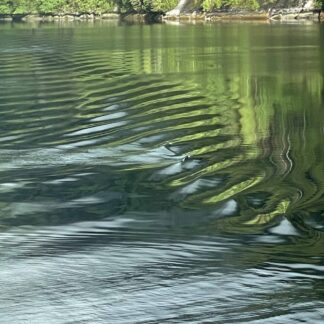 Wake Patterns 3 by Judy Searles
