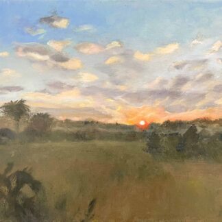 Florida Sunrise by Elizabeth Settle