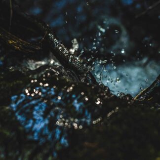 Splash by Diana Sherblom