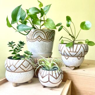Throwing / Handbuilding Ceramics
