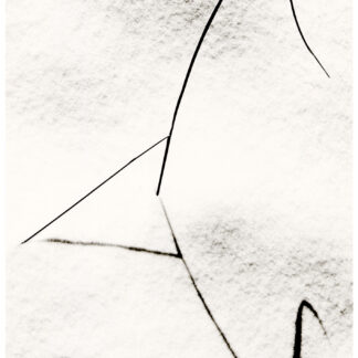 Grass in Snow I by Janos Somogyi