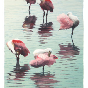 Nancy McIntyre "Spoonbill Divas" Silkscreen