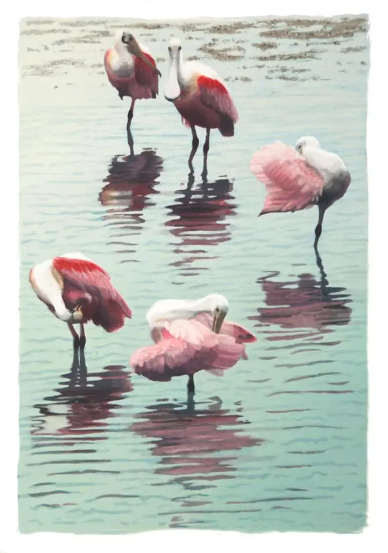 Nancy McIntyre "Spoonbill Divas" Silkscreen