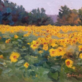 Penn's Sunflowers by Barbara Stepura