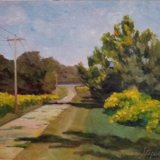 Tickseed sunflowers by Barbara Stepura