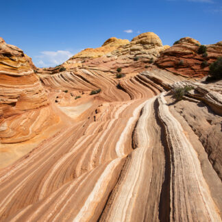 The Wave II by John Stier