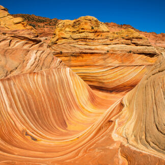 The Wave by John Stier