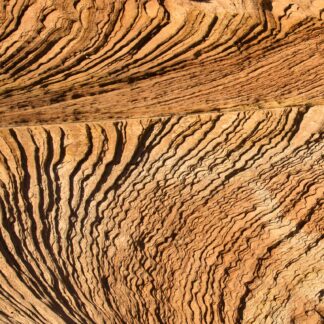 Strata by John Stier
