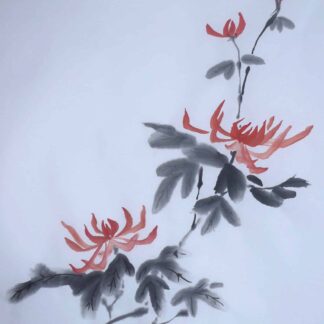 Chrysanthemums by Sarah Stroup