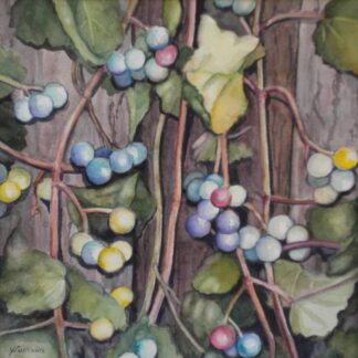 Chinaberries by Katherine Sullivan