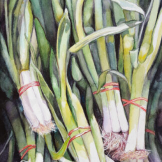 Spring Onions by Katherine Sullivan