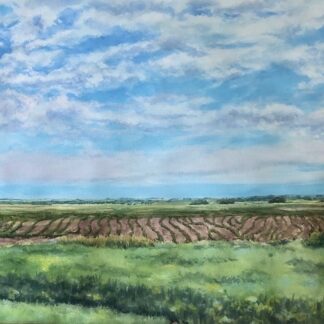 Summer Fields by Cindi Lewis