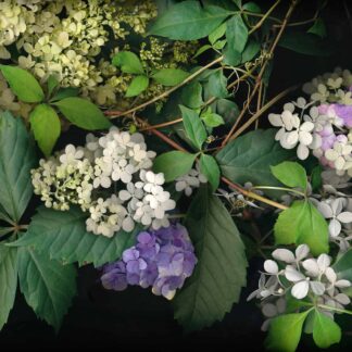 Summer Garden No.29 by Keith Parks