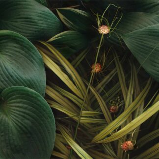 Summer Garden No.5 by Keith Parks