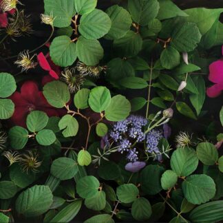 Summer Garden No. 10 by Keith Parks