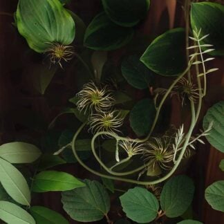 Summer Garden No. 11 by Keith Parks