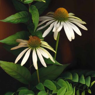 Summer Garden No. 14 by Keith Parks